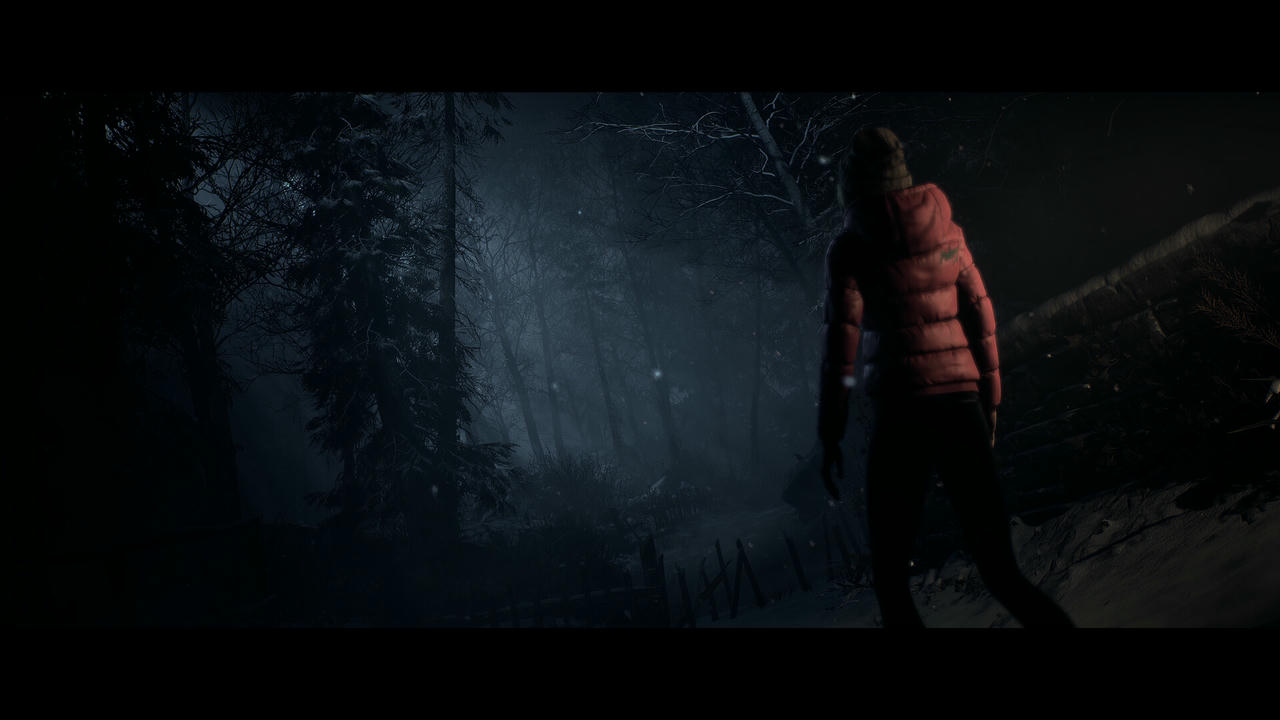 【B6324】直到黎明 Until Dawn Build.20076348.20251109+全DLC-支持手柄 免安装中文豪华版[61.1GB]